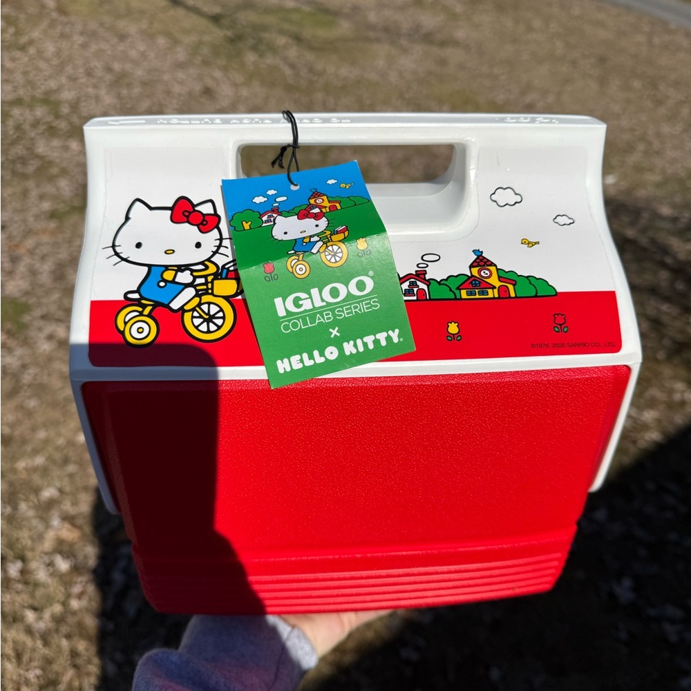 Igloo®️ mini cooler